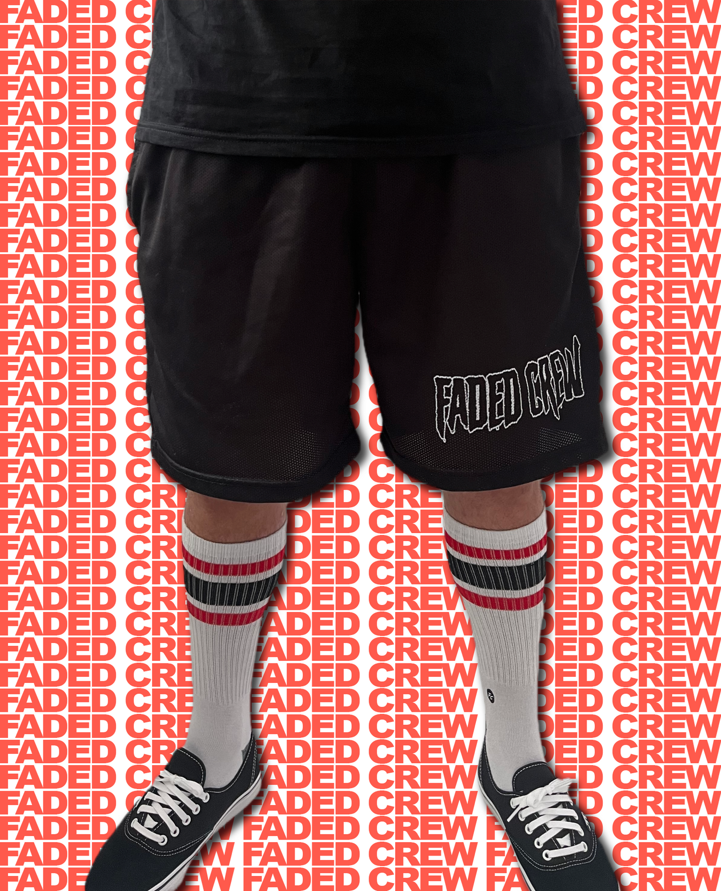 FADED CREW MACABRE SHORTS